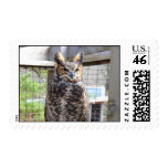Owl on the Prowl Postage