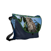 Owl On Wire Messenger Bags