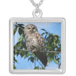 Owl On Wire Necklaces