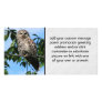 Owl On Wire Photo Cards
