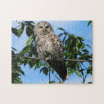 Owl On Wire Puzzle