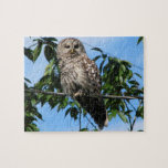 Owl On Wire Puzzles