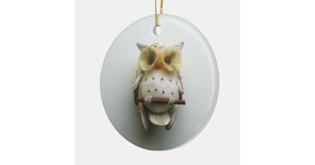 Owl Ornament Zazzle