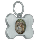 Owl Perch Pet ID Tags