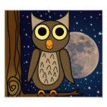 owl photo