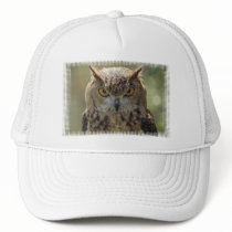 Owl Photo Baseball Hat