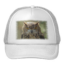 Owl Photo Baseball Hat