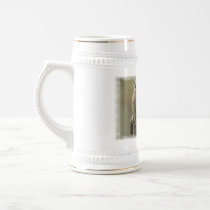 Owl Photo Beer Stein Mugs