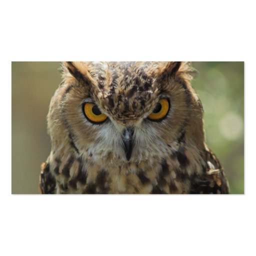 Owl Photo Business Card (back side)