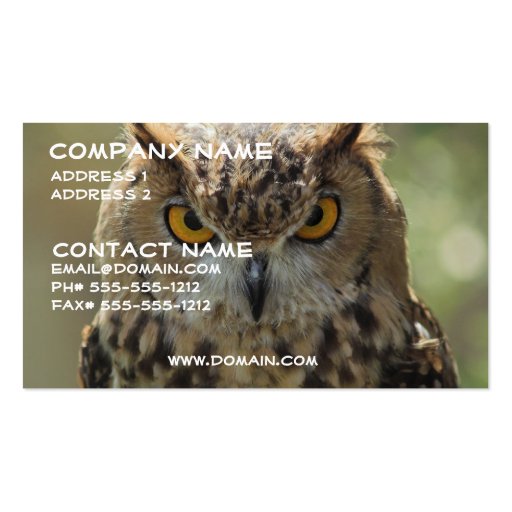 Owl Photo Business Card (front side)