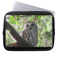 Owl Photo Computer Sleeve