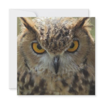 Owl Photo Invitation