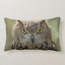 Owl Photo Pillow