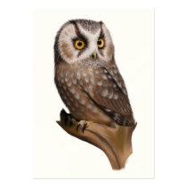 Owl Portrait ACEO Art Trading Cards business cards by jaisjewels Owl Portrait ACEO Art Trading Cards business cards