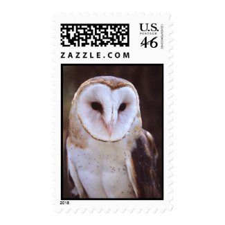 owl stamp