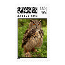 Owl Postage