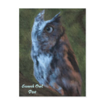 Owl Postcard postcards
