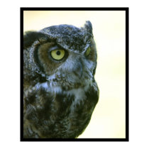 Owl posters by jeanro Owl posters