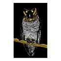 Owl posters by rapscallion Owl posters