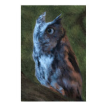 Owl Poster posters