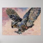 Owl posters