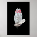 owl posters