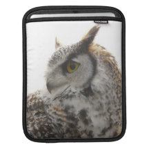 Owl Profile Photo Sleeves For iPads