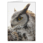 Owl Profile Portrait Photo Card