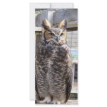 Owl Full Color Rack Card