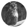 Owl - Screech Sticker