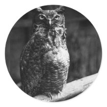 Owl - Screech stickers
