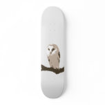 Owl skateboards