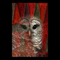 Owl Spirit by Gregory Gallo posters