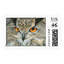 Owl Stamps stamps