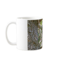 Owl Stare Mug