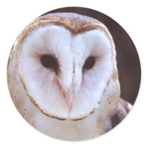 owl sticker