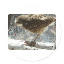 owl round stickers