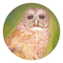 Owl Sticker stickers