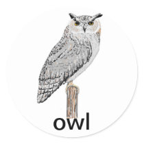 Owl stickers