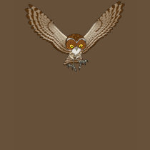 Owl T-shirt ladies
