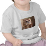Owl Tshirts