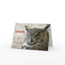 Owl Valentine Card