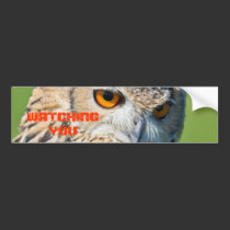 Owl Watching You Bumper Sticker bumper stickers