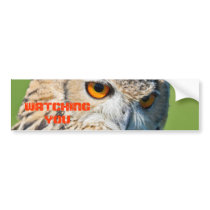 Owl Watching You Bumper Sticker