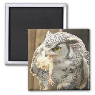Owl with Prey magnet