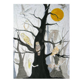 Owl Wood print