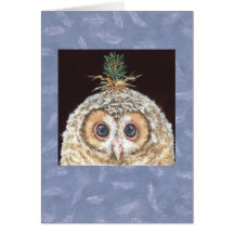 Owlet with pine hat card
