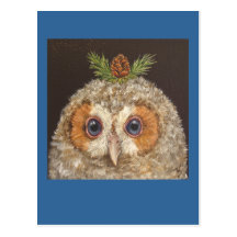 owlet with tamarack postcard