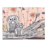 Owls 15 Postcards