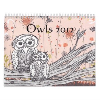 Owls 2012 Calendar calendar